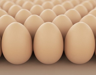 За І квартал виробництво яєць збільшилося на 2,3%